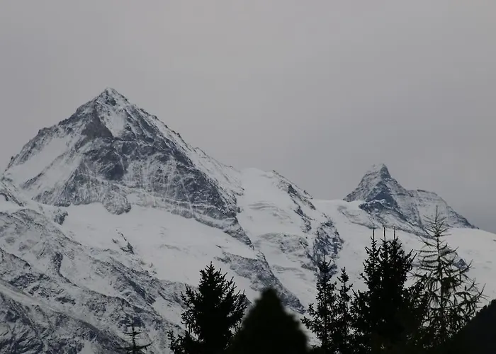 Petit Havre De Paix! Apartment *