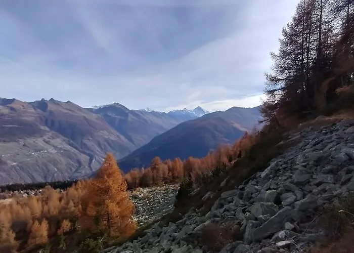 Apartment Petit Havre De Paix!